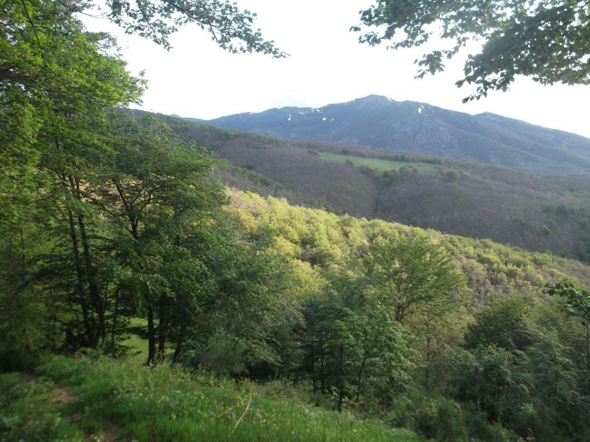 Posada Casa Molleda Pejanda Εξωτερικό φωτογραφία